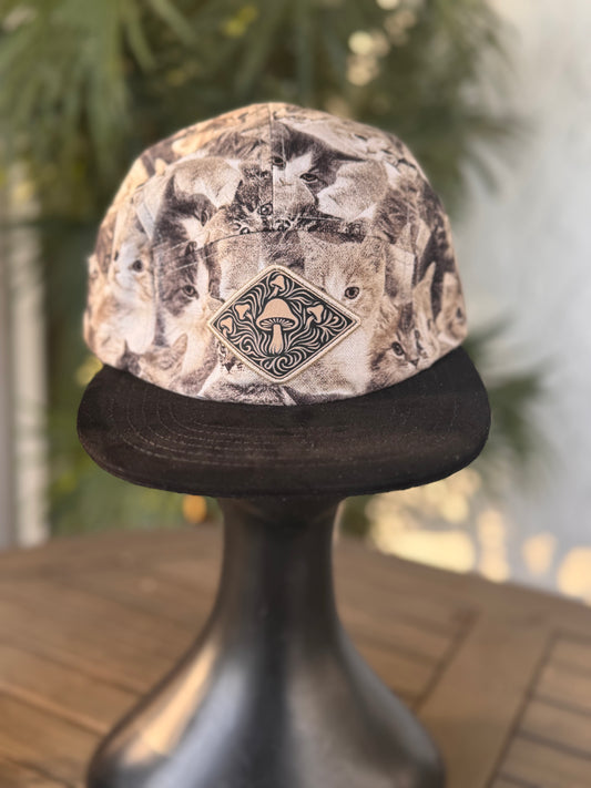 Cat in the hat- 5 Panel - Long Brim